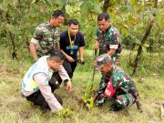 Bersama Mahasiswa, TNI-Polri Lakukan Penghijauan di Kismantoro Wonogiri