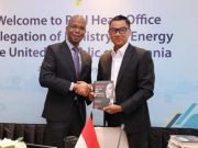 Pemerintah Tanzania Ajak PLN Bangun Sistem Kelistrikan Afrika Timur