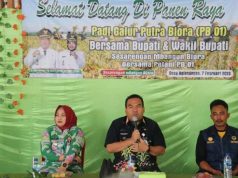 Hadi Warga Kedungtuban Temukan Bibit Baru Tanaman Padi Galur Bebas Hama