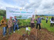 Peresmian Agrowisata Kulonprogo, PGN Gelar Tanam 1000 Bibit Pohon dalam Mendukung Pelestarian Lingkungan