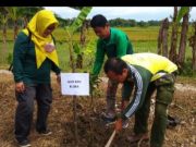 HPN 2023, Wartawan Menanam Buah-Buahan dan Tebar Ikan di Embung Sambongan Jepangrejo Blora