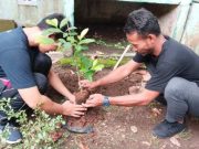 Mahasiswa KKN USM dan Warga Kelurahan Pedurungan Kidul Lakukan Urban Farming