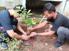 Mahasiswa KKN USM dan Warga Kelurahan Pedurungan Kidul Lakukan Urban Farming