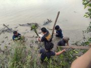 Mahasiswa KKN USM Tanam Mangrove di Alur Bantaran Sungai Banjir Kanal Barat