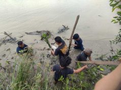 Mahasiswa KKN USM Tanam Mangrove di Alur Bantaran Sungai Banjir Kanal Barat