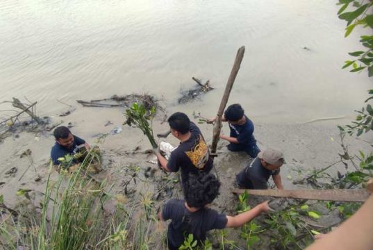 Mahasiswa KKN USM Tanam Mangrove di Alur Bantaran Sungai Banjir Kanal Barat
