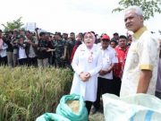 Harga Beras di Grobogan Tinggi, di Kendal Masih Rendah