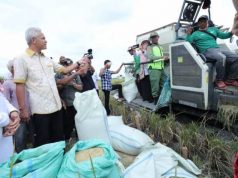 ‘Petani Milenial Nyangkulnya Tak Pakai Pacul…’