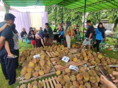 MWC NU Batealit Gelar Festival Durian di Peringatan Satu Abad NU