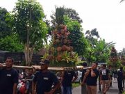 Ratusan Buah Durian Diperebutkan dalam Festival Tanaman dan Durian Candimulyo buah durian