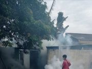 Tiga Warga Jepara Meninggal karena Demam Berdarah