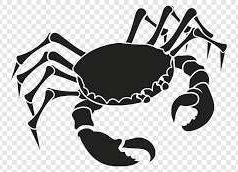 Ramalan Zodiak Harian 16 Februari 2023 Horoskop Cancer