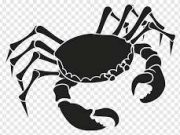 Ramalan Zodiak Harian 27 Februari 2023 Cancer