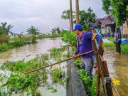 Enceng Gondok Penyebab Banjir Batukali, Pratikno Bersama Warga Bersihkan Sungai