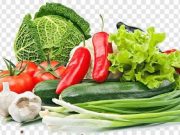 Mengenal Meal Preparation dan Cara Melakukannya