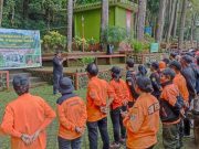 Organisasi Relawan dan KNPI Tanam Pohon Pelindung dan Pohon Buah di Gunung Tidar