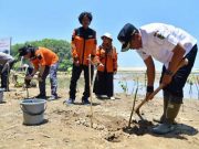 Begini Cara untuk Menangkal Abrasi Pantai Wisata Soge di Pacitan