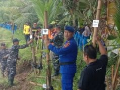 Siswa SMAN Ayah dan Muspika Tanam 500 Pohon Mangrove di Kali Ijo