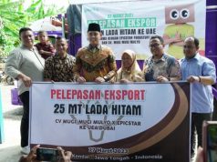 CV Mugi- Mugi Mulyo Ekspor Perdana 25 Ton Lada Hitam Ke Dubai