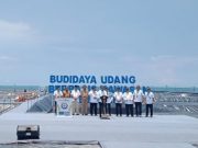 Jokowi Resmikan Tambak Udang Berbasis Kawasan di Kebumen Senilai Rp 175 M