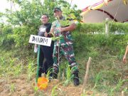 Peringati Hari Desa Asri Nusantara 2023, di Blora Tanam 109.779 Pohon Buah Buahan