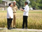 Pemerintah Sedang Hitung Harga Ideal Gabah Kering Panen