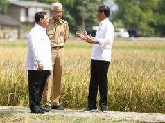 Pemerintah Sedang Hitung Harga Ideal Gabah Kering Panen