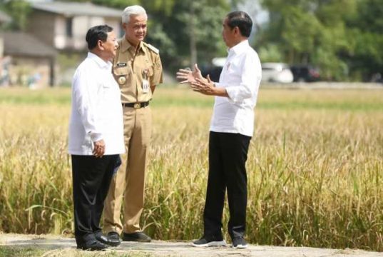 Pemerintah Sedang Hitung Harga Ideal Gabah Kering Panen