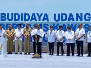 Budidaya Udang Berbasis Kawasan Akan Dikembangkan di Seluruh Indonesia
