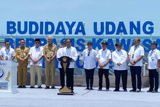 Budidaya Udang Berbasis Kawasan Akan Dikembangkan di Seluruh Indonesia