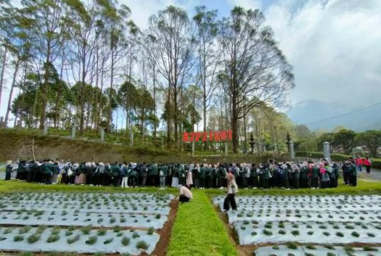 Mahasiswa Farmasi Unissula Belajar Tanaman Obat di Tawangmangu