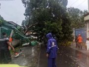 Hujan Angin di Grobogan, Plafon Masjid Ambrol Pohon Tumbang Timpa Mobil