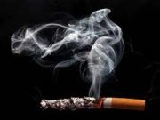 Bau Rokok Hilang Aroma Pun Kembali Segar