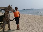 Ada Delman Ditarik Kuda di Pantai Ombak Mati Jepara