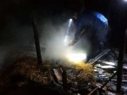 Kandang Terbakar di Sendangrejo Ngaringan, 7 Kambing dan 2 Sapi Mati Terpanggang