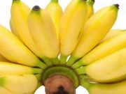 Apa Saja Kandungan Nutrisi dalam Buah Pisang? Simak!