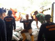 Kementerian Pertanian Bantu10 Ton Pakan Konsentrat Bagi Peternak Lereng Merapi pakan ternak
