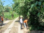 Tebang Bambu Saat Kerja Bakti di Kuburan, Warga Nampu Tewas Tersengat Listrik