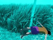 Seorang Petani Warga Penawangan Tewas Tersengat Listrik Jebakan Tikus