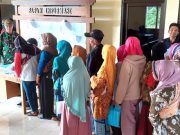 Jelang Lebaran, Bantuan Beras Cadangan Pangan Pemerintah Dibagikan