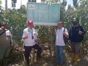 Sekretaris Divisi Regional Jateng Perum Perhutani Lakukan Sidak TLK di Sulang Rembang
