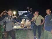 ‘Tim Suwunk’ Perhutani Mantingan Amankan Barang Bukti Kayu Curian di Grawan Sumber