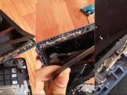 Tips Bersihkan Barang Elektronik Dari Semut