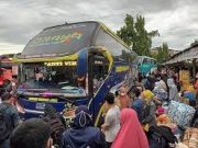 Tips Menghindari Beli Tiket Lewat Calo