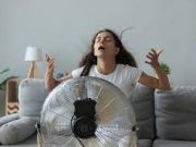 Tips agar Ruangan Tetap Sejuk Meski Cuaca Terik