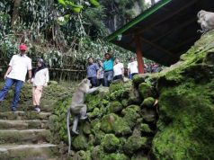 Potensi Longsor di Kawasan Tawangmangu Cukup Tinggi