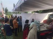 Komoditas Produksi Lokal Efektif untuk Menurunkan Inflasi