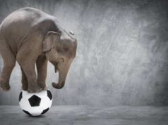 Sepak Bola, Sirkus yang Mengaduk Hati dan Mimpi…