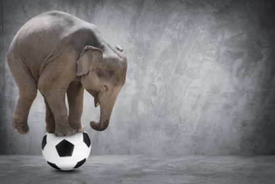 Sepak Bola, Sirkus yang Mengaduk Hati dan Mimpi…