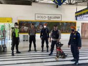 Polresta Surakarta Terjunkan Anjing Pelacak di Terminal dan Stasiun, Tingkatkan Keamanan Jelang Lebaran